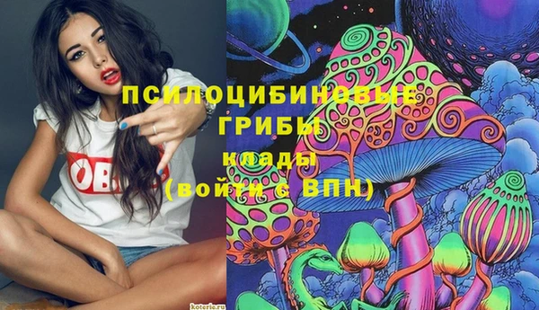винт Алексеевка