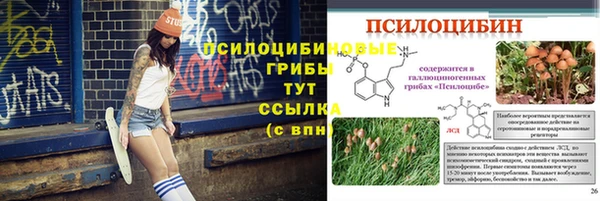 твердый Осинники